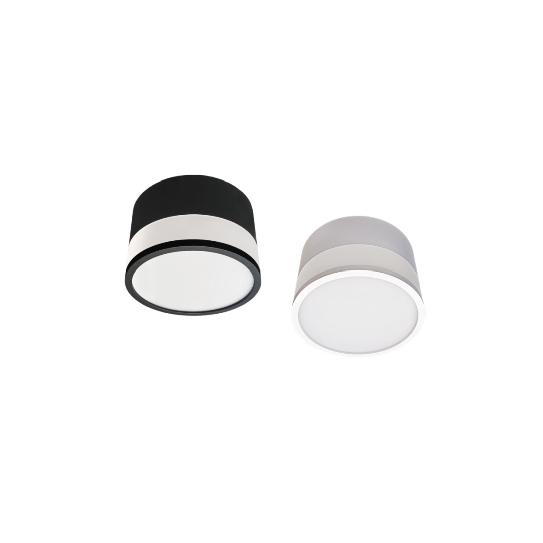 product 1 cover Surface mounted downlight 713